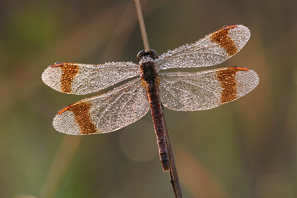 a01_0040_web.jpg