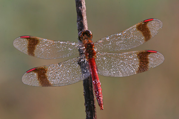 a01_0065_web.jpg