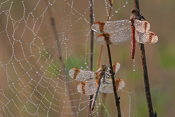 a01_0067_web.jpg