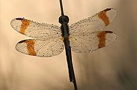 a01_0011_web_thn.jpg