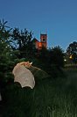 Galerie: Mausohr