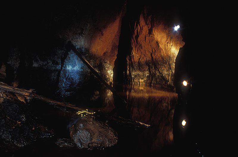 004_stollen_gallenbach.jpg