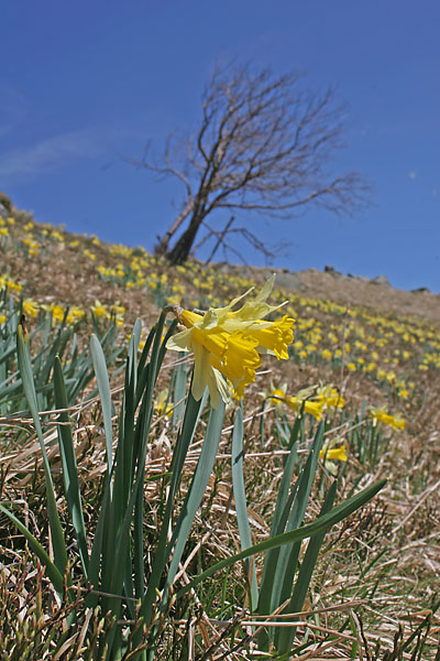 vogesen_0267_web.jpg